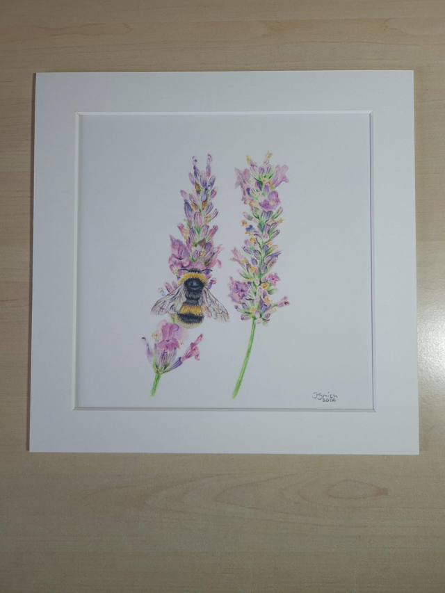 Lavender Bee Original Drawing