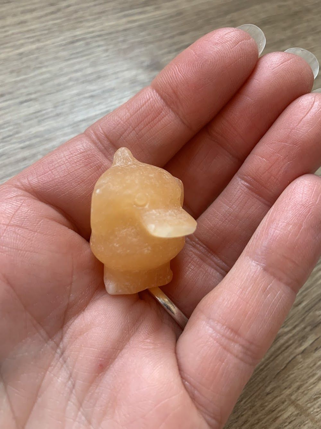 Pokémon Psykokwak Calcite Orange