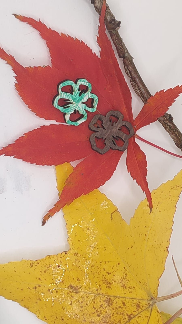 Boucles d'oreilles Coquelicot double-face interchangeables