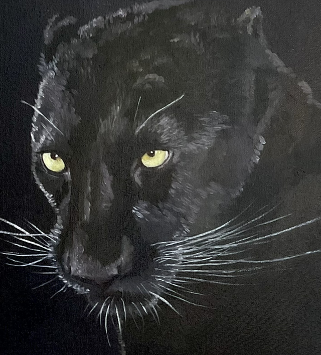 Original study in oils, Black Panther