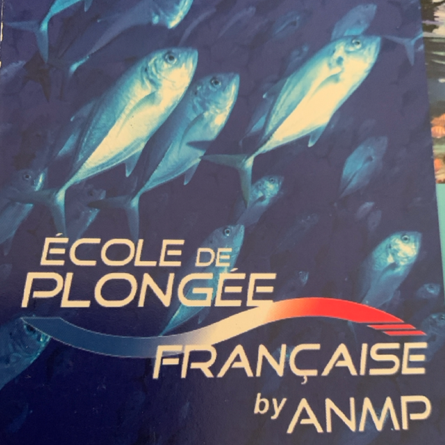 Niveau 1 avec équipement inclus et certif - 5 plongées de formation