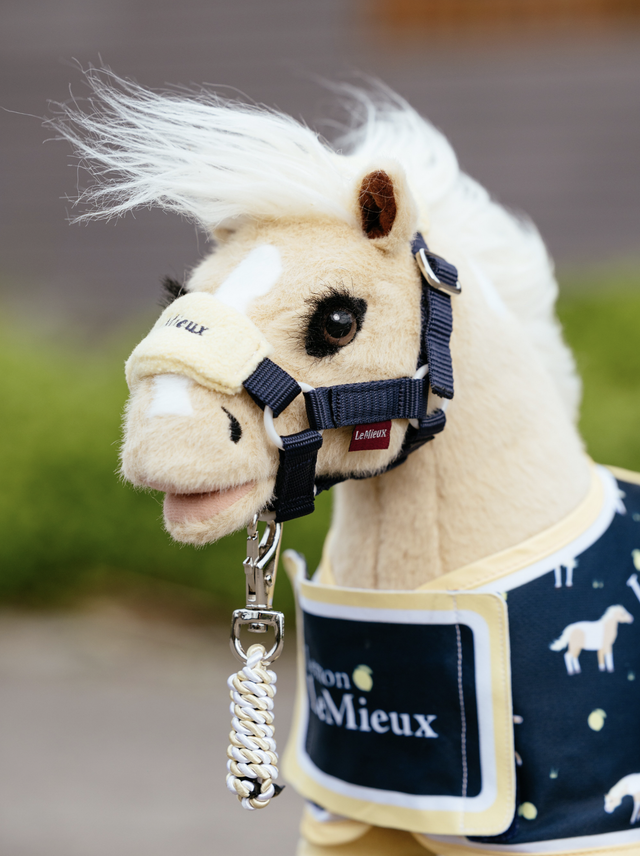 Toy Pony Halfter und Führstrick