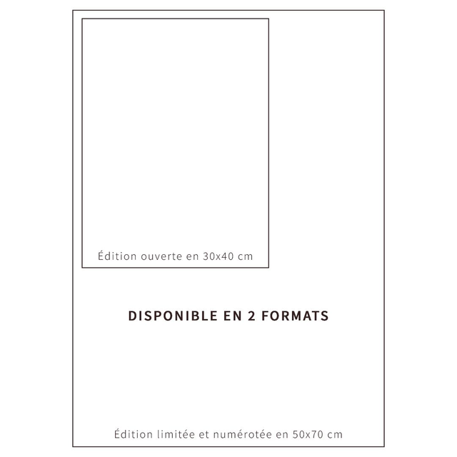 PÉZENAS, Toute une histoire : 30x40 cm