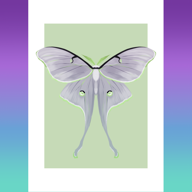 MOTH SERIES - Aromantic / Agender Print