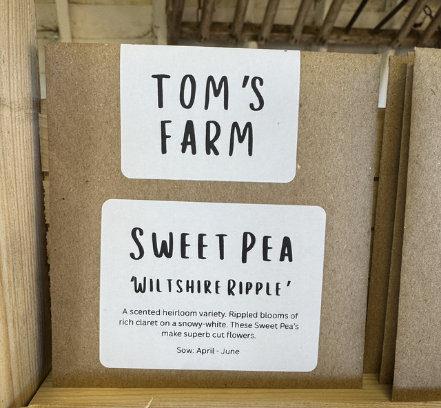 Sweet Pea Wiltshire Ripple