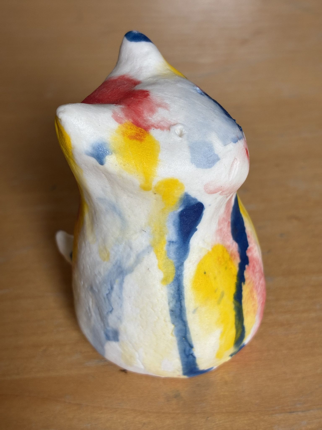 Colourful Cat