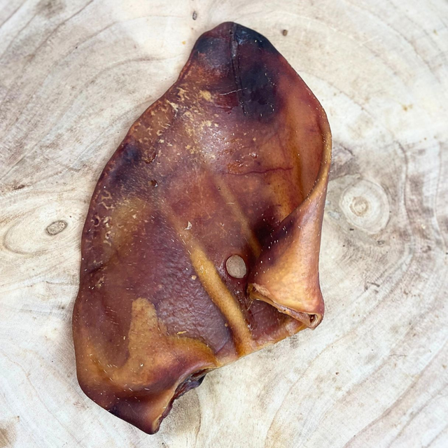 XL Pigs Ear