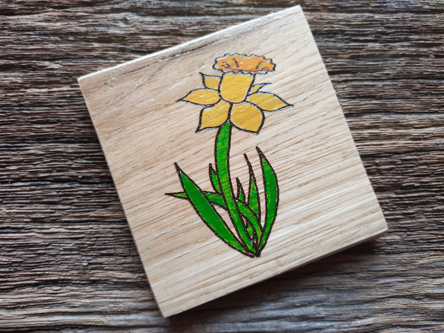 Oak Coaster - Daffodil