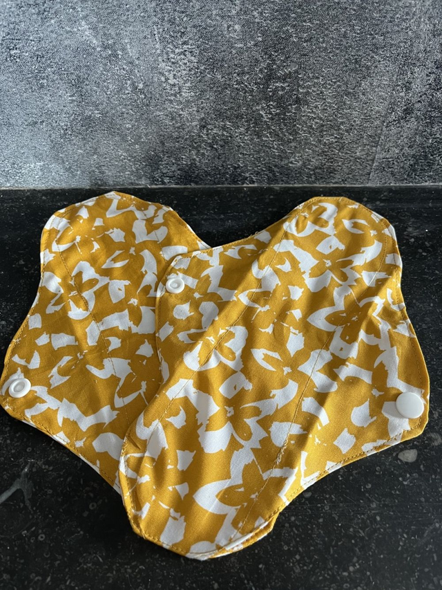 Protège slip lot de 2