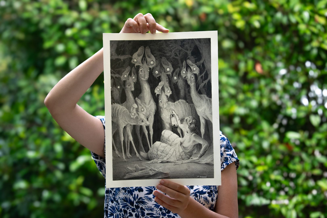 Papiche - Crayon - 29,7x42 cm