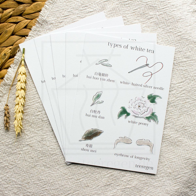Types Of White Tea - Set of 5 - Tea Culture On Postcards