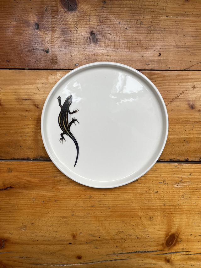 Teller flach mit Rand 21 cm Salamander