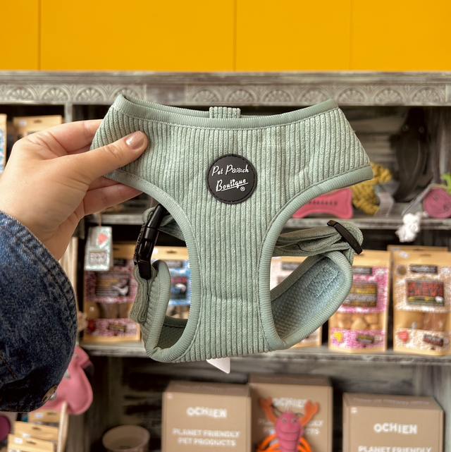 Pet Pooch Boutique Sage Green Cord Dog Harness - Medium