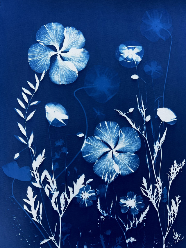 "Un matin au printemps" Cyanotype original 
