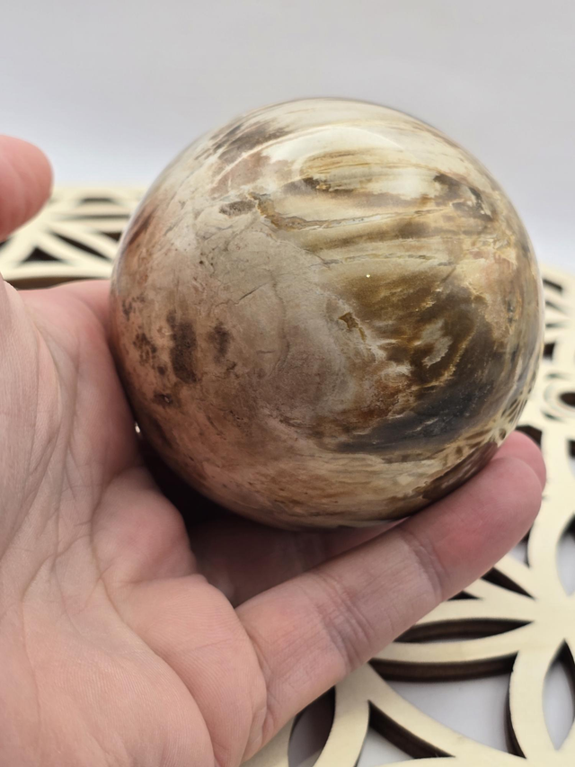 Bois fossilisé forme sphère