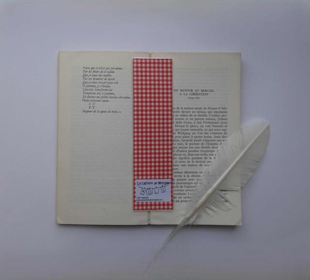 Le marque-page aux fraises