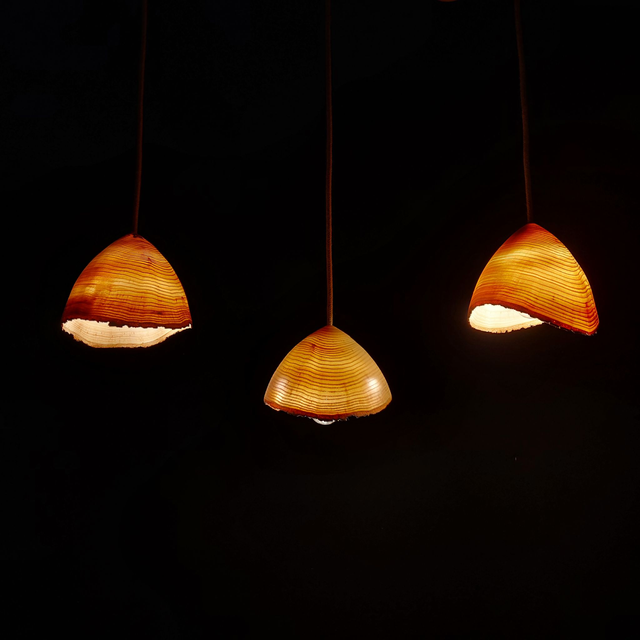 Suspension en frêne 