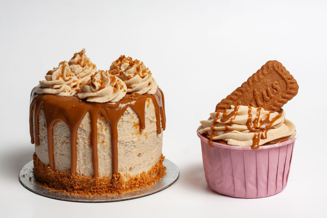 Bento Cake and Cupcake Set