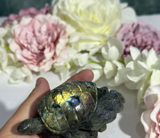 Lab turtle carving