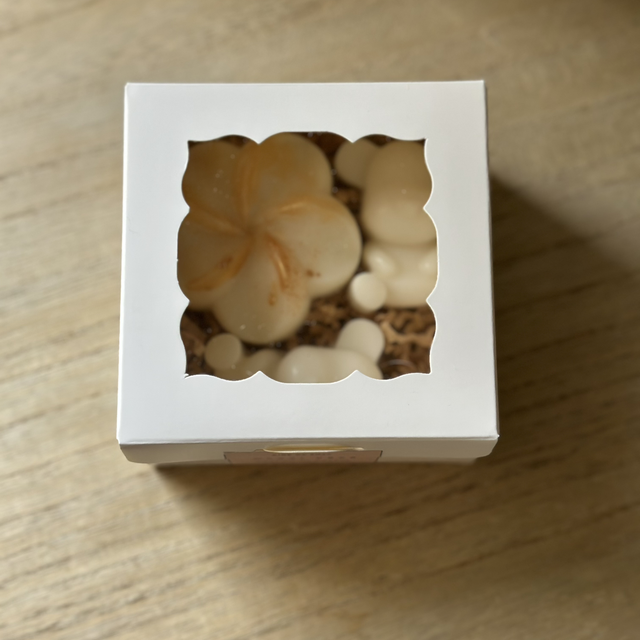 Box Fondants parfumés Monoï Coco