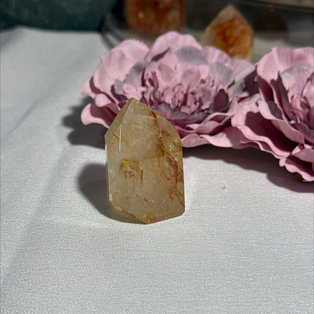 Brazilian golden healer with fire