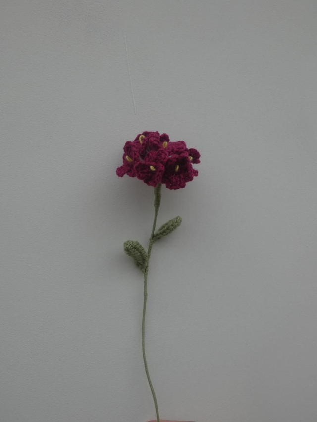 Pompon de myosotis fushia 