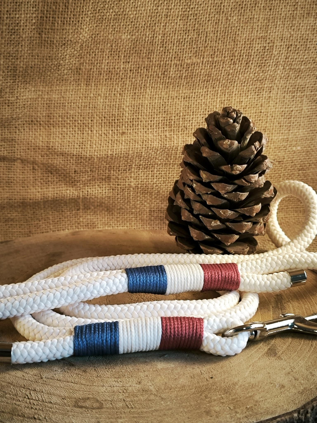 🇫🇷 Collier & laisse "Esprit Français"