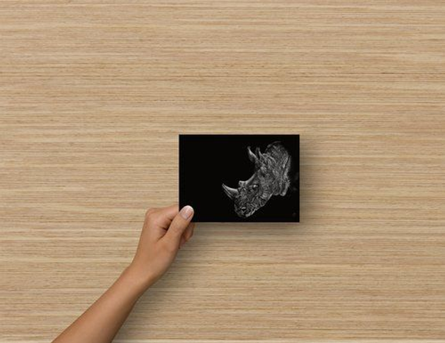 Carte Postale - Rhinocéros (reproduction Aquarelle)