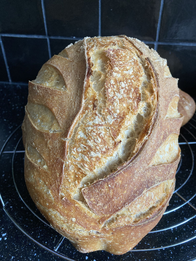 Pain de Campagne Bio au levain naturel / prix au kg