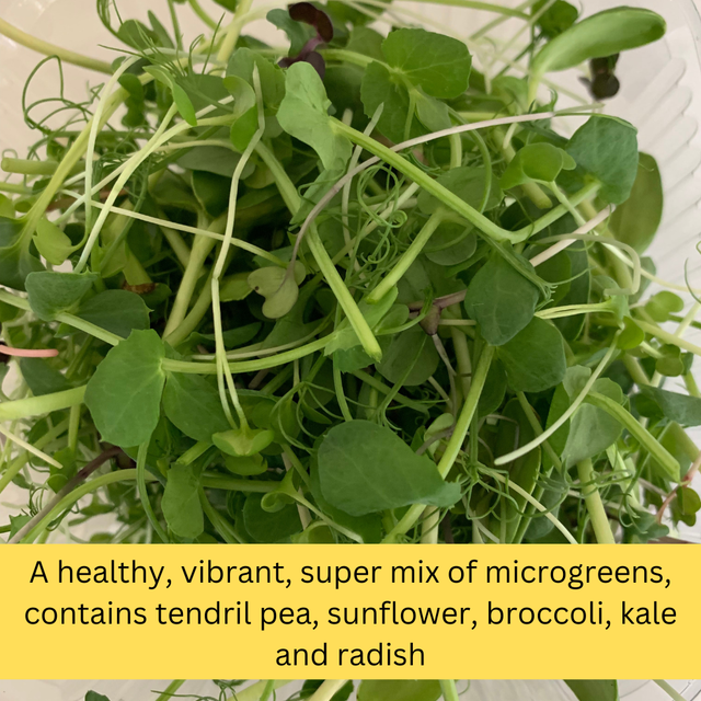 Microgreens Mix