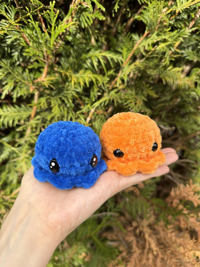 Poulpe - Mini 🐙 