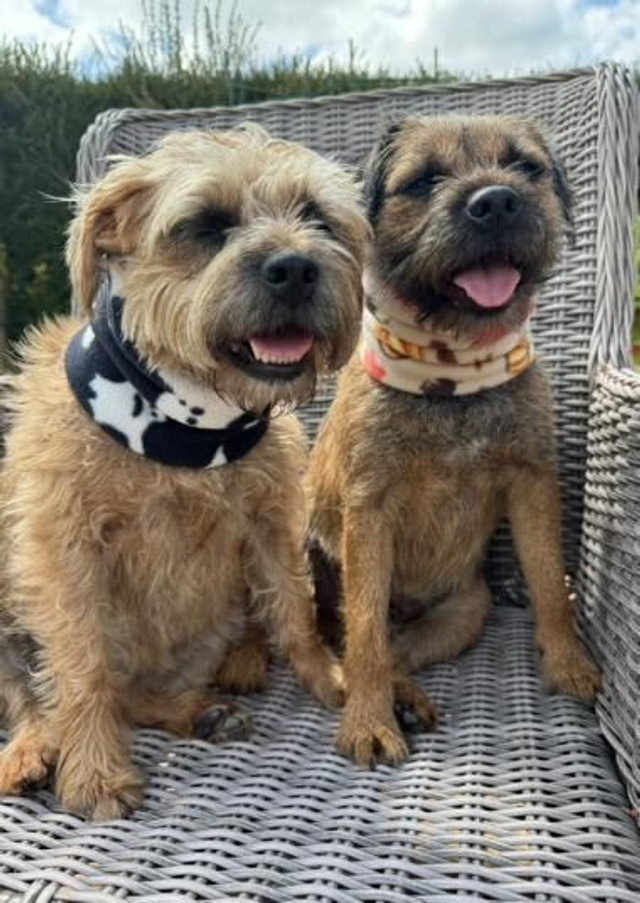 Halloween snoods 