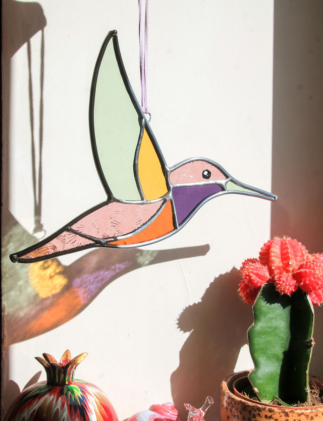 Le colibri des Andes 