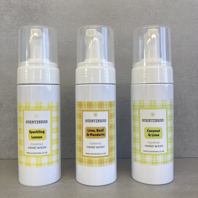 Foaming Hand Wash, 150ml