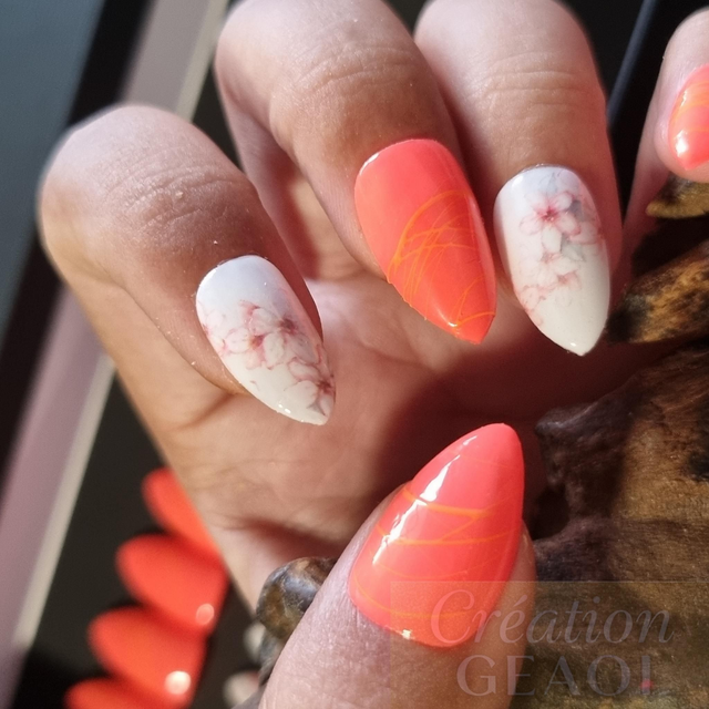 Corail Spider foil little Amande xs 