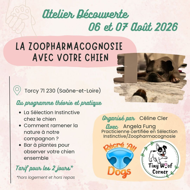 Atelier Découverte "La Zoopharmacognosie avec votre chien" 