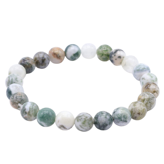 💙 Agate Arbre – Bracelet élastique perles 8 mm – Origine Afrique du Sud – Gisement de Mossel Bay – Qualité A