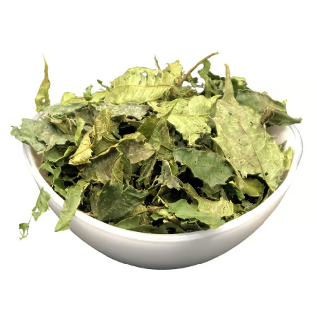 Espinheira Santa f/t (C0174)