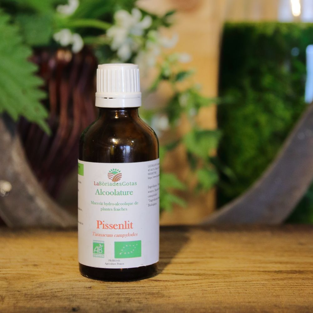 Alcoolature Pissenlit