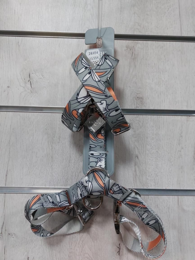 Arnés H Educativo ( Looney Tunes) En tallas S,M,L