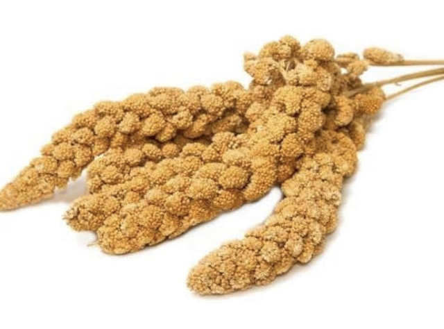 Yellow millet sprays