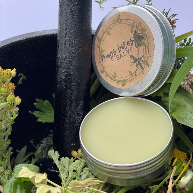 Bug bites salve