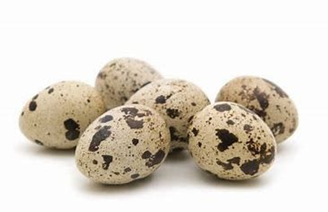 Lot de 18 oeufs de caille EXTRA FRAIS vrac (consommation)