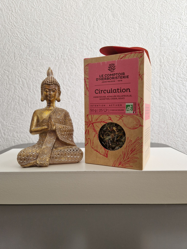 Tisane circulation bio 50g
