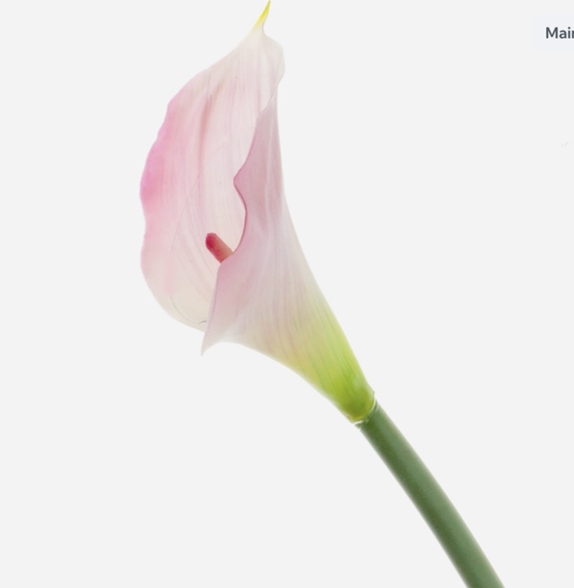 Real Touch Calla Lily