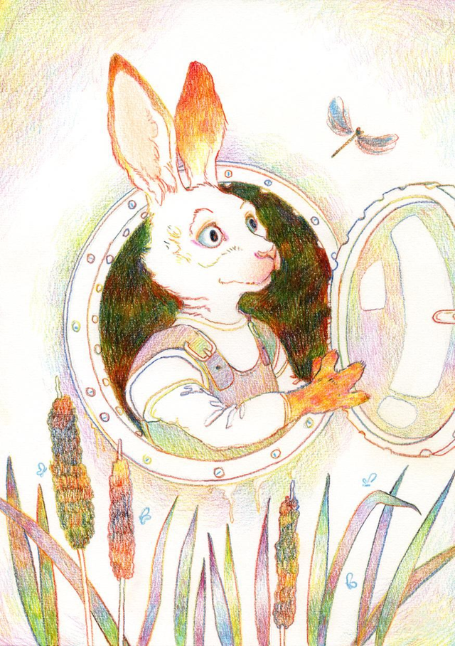 09 Fenêtre sur l'étang A3 print 