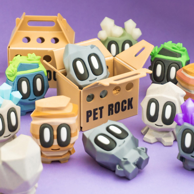 Roca Mascota - Pet Rock