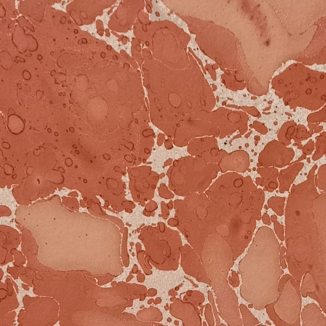 Carnet à dessin Rose/Marbré