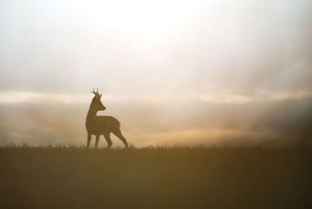 A l'aube du printemps