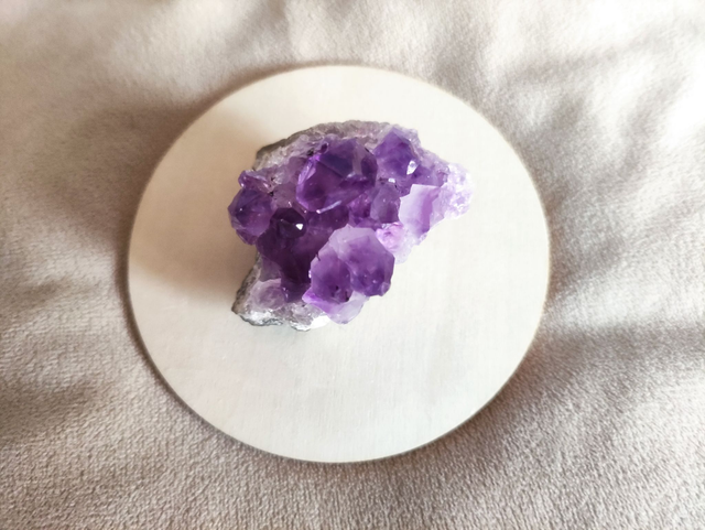 Consultation de suivi d&#039;ADN minéral